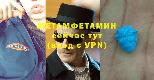 стаф Богданович