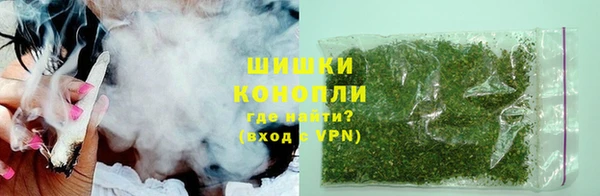 стаф Богданович