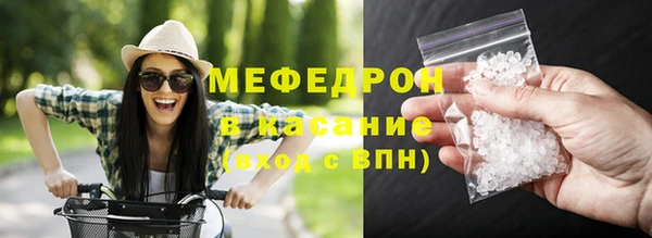 стаф Богданович