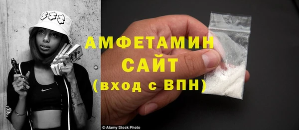 стаф Богданович
