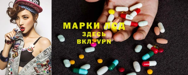 МДПВ Богородск