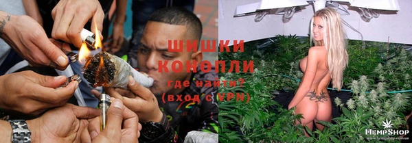 стаф Богданович