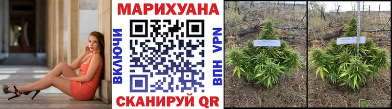 Каннабис Ganja  Нерюнгри 